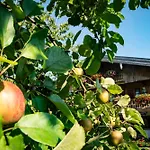 Gaestehaus Becher, Kreuth-point Appartamento Kreuth